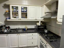 Changi Green (D16), Condominium #465418961